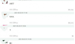 明星用大号吃瓜爆料文件,吃瓜爆料文件背后的娱乐圈真相