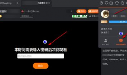 91直播间的密码是多少,揭秘直播间的神秘世界